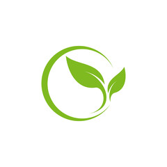 Leaf logo vector design template