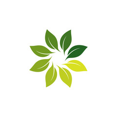 Fototapeta na wymiar Leaf logo vector design template