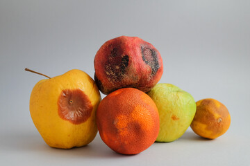 lots of fruits that have gone bad. food mold. fridge fungus. apple, pomegranate, orange and a lemon...
