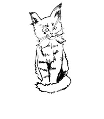 A kitten with funny ears is gazing at somebody.