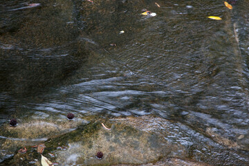 Abstraction in water