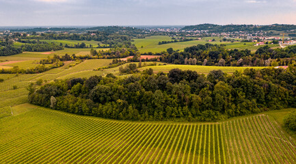 Rural Scene, mountains landscape at sunset. Vineyard in Italy. Aerial landscape. Drone panoramic scene. - 354656684