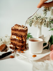Chocolate cake decorated with various cookies and nuts on a glass plate and macaroons among white flowers of lilac and green leaves. Food photography. Advertising and commercial close up design.