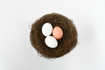 bird nest with eggs