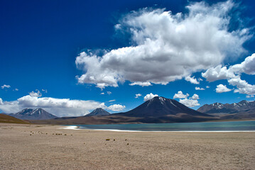 Laguna miscanti with the Miscanti and Miniques volcanoes in the background. San Pedro de Atacama, Chile.