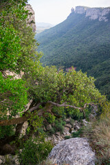 Fototapeta na wymiar Spanish Pyrenees, Catalonia