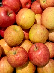 Close-up photo of apples (Cripps Pink) in market. Fruits background. Texture red apple. 