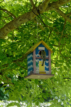 M&eacute;sange &agrave; longue queue rentre dans son nichoir fabriqu&eacute; maison - France