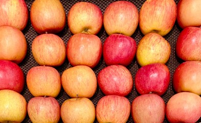 Close-up photo of apples (Cripps Pink) in market. Orderly rows fruits background. Texture red apple. 