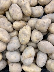 Group of potatoes in market. Potato background.