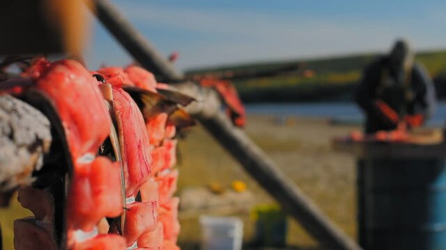 Yukon Territories, Alaska. Strips of filleted and cut salmon drying on racks in summer and unfocussed fisherman cleaning salmon.