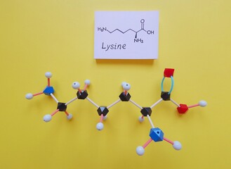 Molecular structure model and structural chemical formula of essential amino acid L-lysine molecule, required for growth and tissue repair. Lysine (Lys, K) is used in the biosynthesis of proteins.