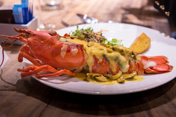 Lobster with mushroom yellow creamy sauce