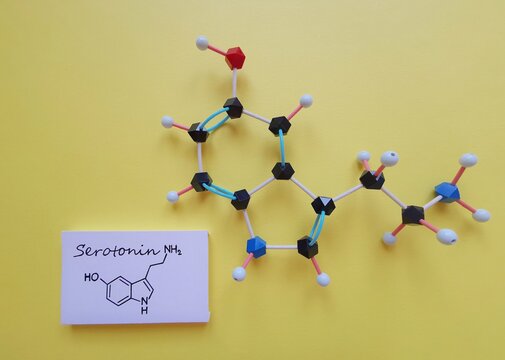 Molecular structure model and structural chemical formula of serotonin molecule. Serotonin is a monoamine neurotransmitter, hormone of happiness, a contributor to feelings of well-being and happiness.