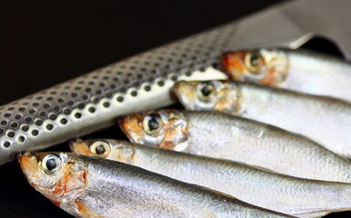 Fresh sardines fish being prepared for Sushi with knife 