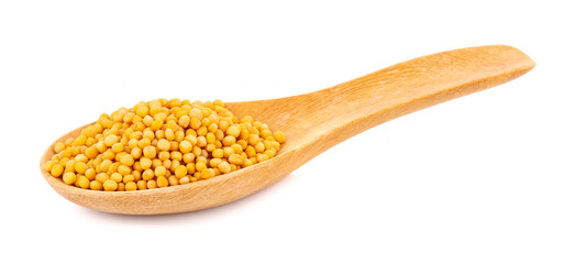 mustard seeds in spoon isolated on white background