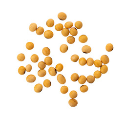 soy beans on white background