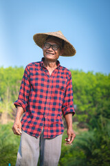 Portrait of a happy senior Asian farmer at Sesame Garden.