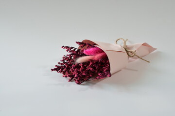 white background dried flower decorations