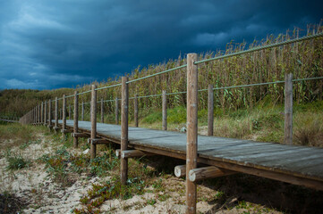 Wooden walkway at the seaside under dark clouds, before thunderstorm sky. High grass along the shore