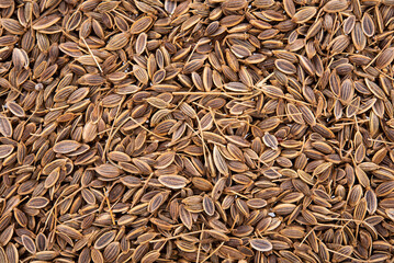 Pile of Caraway Seeds Background
