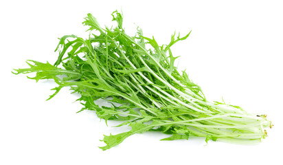Mizuna lettuce isolated Japanese Mustard, vegetable salad for good health on white background