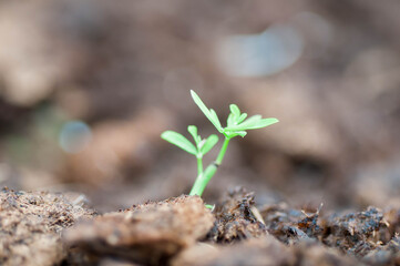 new life concept