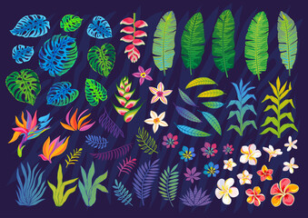 Fototapeta na wymiar Set of abstract tropical plants, flowers, leaves. Vector design elements. Wildlife colorful floral jungle. Rainforest art background. Hand drawn vector illustration
