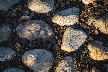 Cobblestone ground path with boulders and cork bark