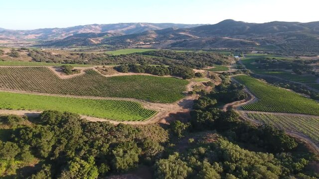 Beautiful aerial of hilly vineyards in the grape growing region of California&rsquo;s santa rita appellation