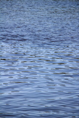 blue water reflection
