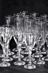Group of wine glasses. Black and white