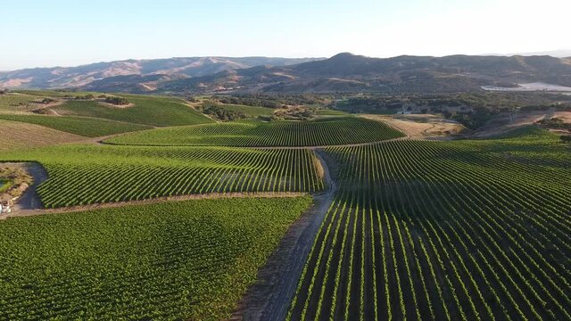 Beautiful aerial of hilly vineyards in the grape growing region of California&rsquo;s santa rita appellation