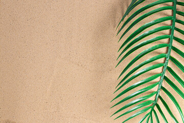 Fototapeta na wymiar Summer vacation concept. Green palm leaves on sand background with a copy of space. Summer background.