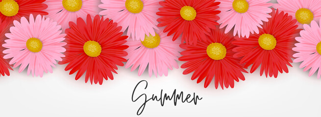 Fototapeta na wymiar Summer banner. Newsletter header. Realistic daisy flowers. Vector illustration with lettering.