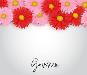 Summer background. Realistic red and pink daisy flowers. Vector illustration with lettering.