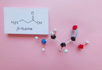 Molecular structure model and structural chemical formula of beta-alanine molecule. β-Alanine is a non-essential amino acid. It is often taken as a sport supplement. Black=C, red=O, blue=N, white=H.
