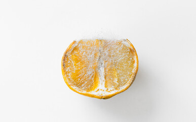 bergamot fruit cut in half but preserved with fluff of mold on a white background - obrazy, fototapety, plakaty