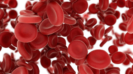 3d render Blood cells flying through arteries on white background