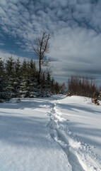 winter mountain scenery with snow covered hiking trail, forest and sky with beautiful clouds