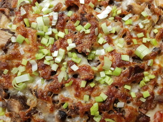 Fototapeta na wymiar pizza with green leek