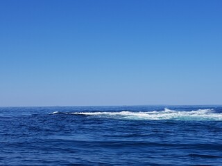wave breaking on underwater reef in nordland, outside the island of Heroy