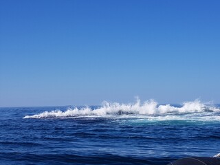 wave breaking on underwater reef in nordland, outside the island of Heroy