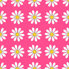 Seamless pattern camomile on a pink background