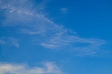 Sky blue background. Natural background