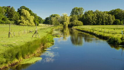 Weiden und Wiesen an der Ilmenau im Sommer