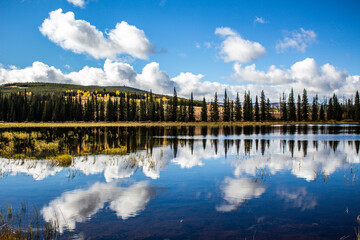 A reflection in a lake, of trees and hills in British Columbia, Canada