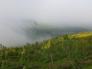 dense fog over green mountain valley