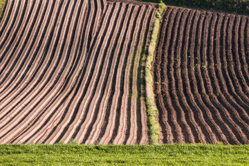 Furrows in a field in spring.