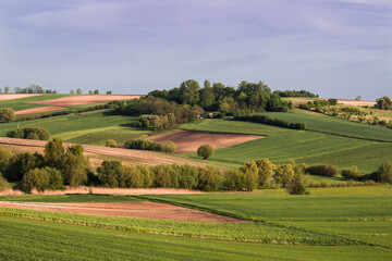 Fototapeta na wymiar Countryside landscape with fields and trees
